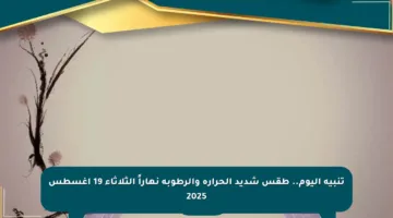 تنبيه اليوم.. طقس شديد الحرارة والرطوبة نهاراً الثلاثاء 19 أغسطس 2025